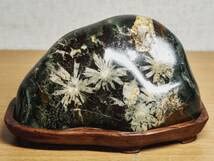 孔雀石 958g 菊花石 紋石 原石 鑑賞石 自然石 誕生石 鉱物 鉱石 水石 菊花石 菊紋石 根尾菊花石 飾石 天然石 水石 鑑賞石 自然石 原石